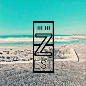 Zest - Pleasurable Pain